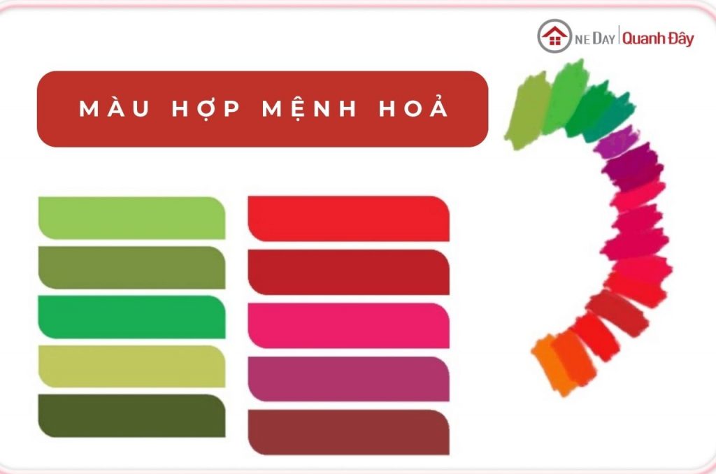 mau-hop-menh-hoa-oneday